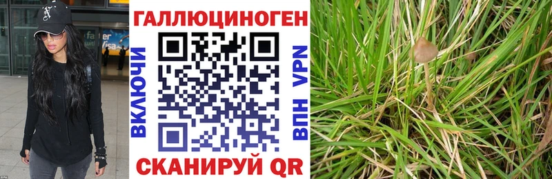 Псилоцибиновые грибы мицелий хочу Михайлов
